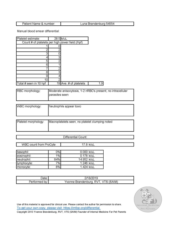 Differential Excel Sheet INTERNAL MEDICINE FOR PET PARENTS